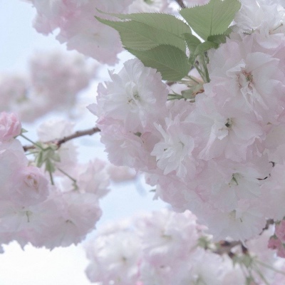 兽设场景透视绘画教程兽圈群